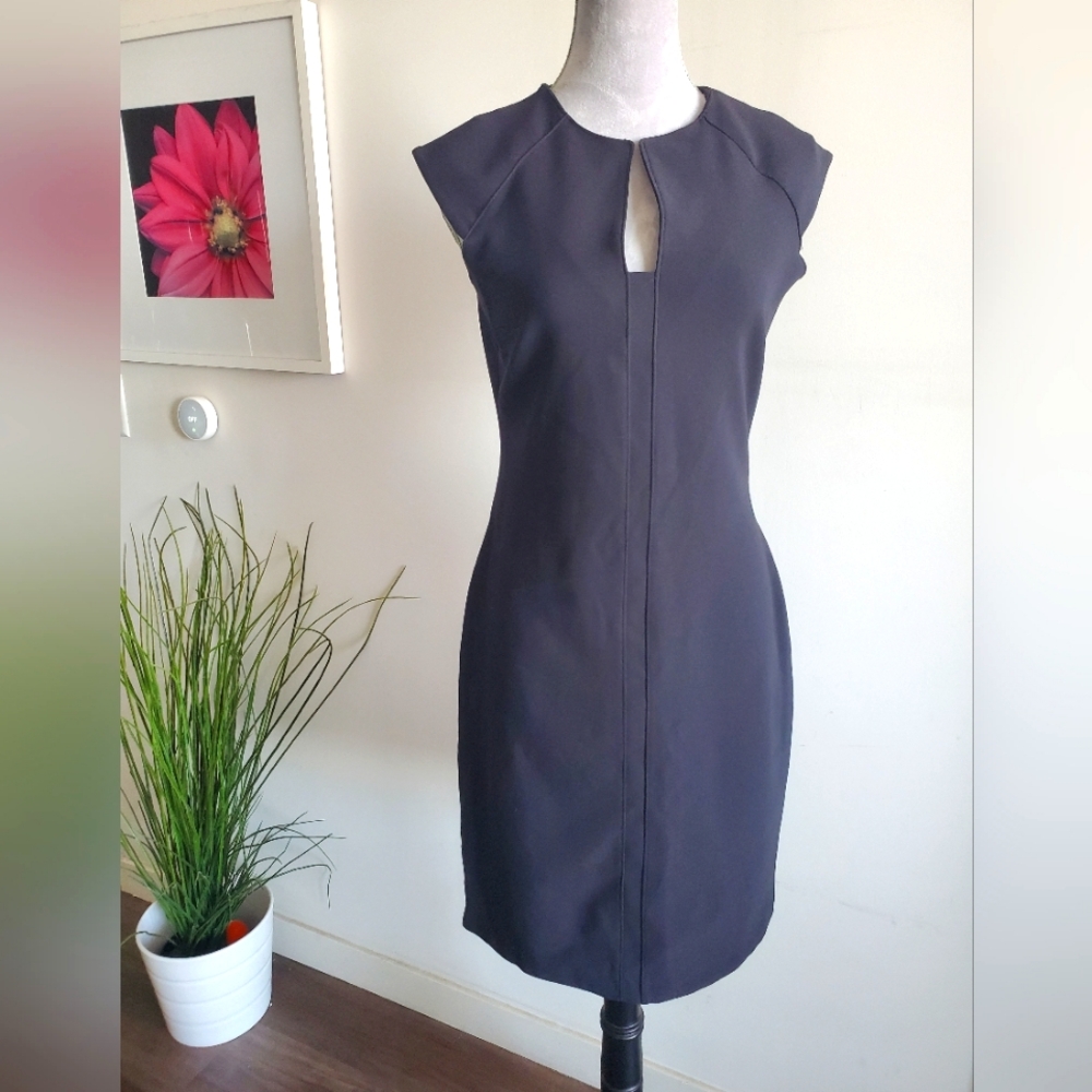 BAR III Office Dress